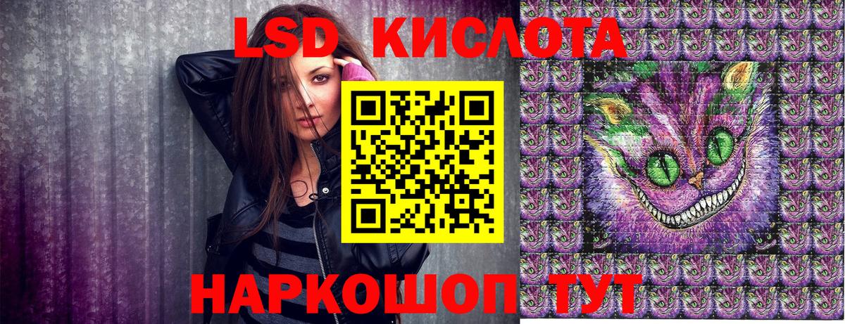 Марки N-bome 1500мкг  где найти наркотики  Марки 25I-NBOMe  Дальнегорск  Вход с VPN  Марки N-bome 1500мкг 