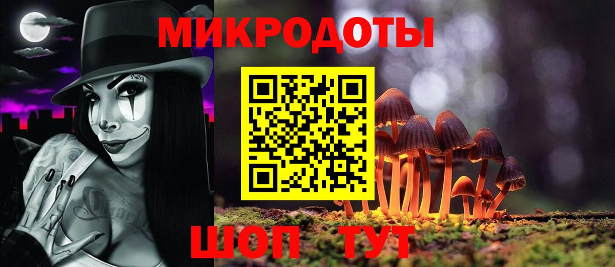 Псилоцибиновые грибы Cubensis Дальнегорск