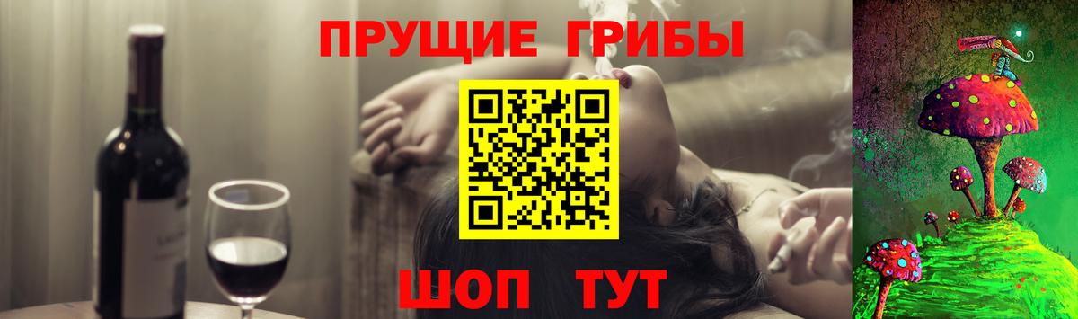 Дальнегорск  Галлюциногенные грибы ЛСД  Вход с VPN 